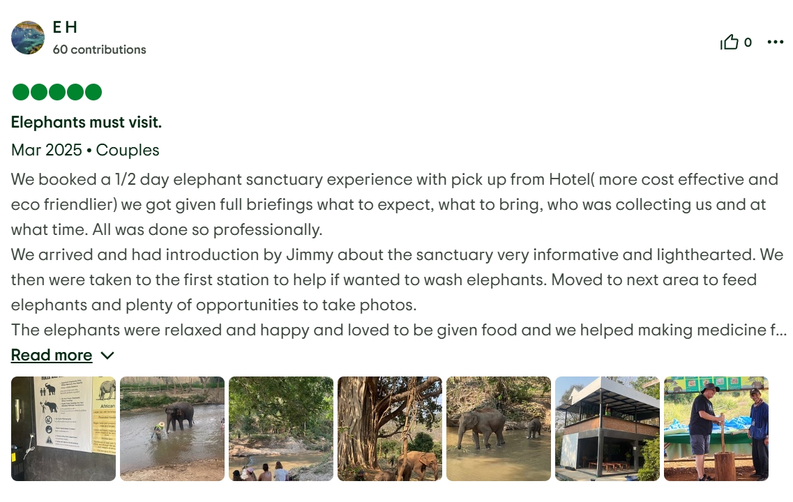 pon elephpant chiangmai thailand reviews